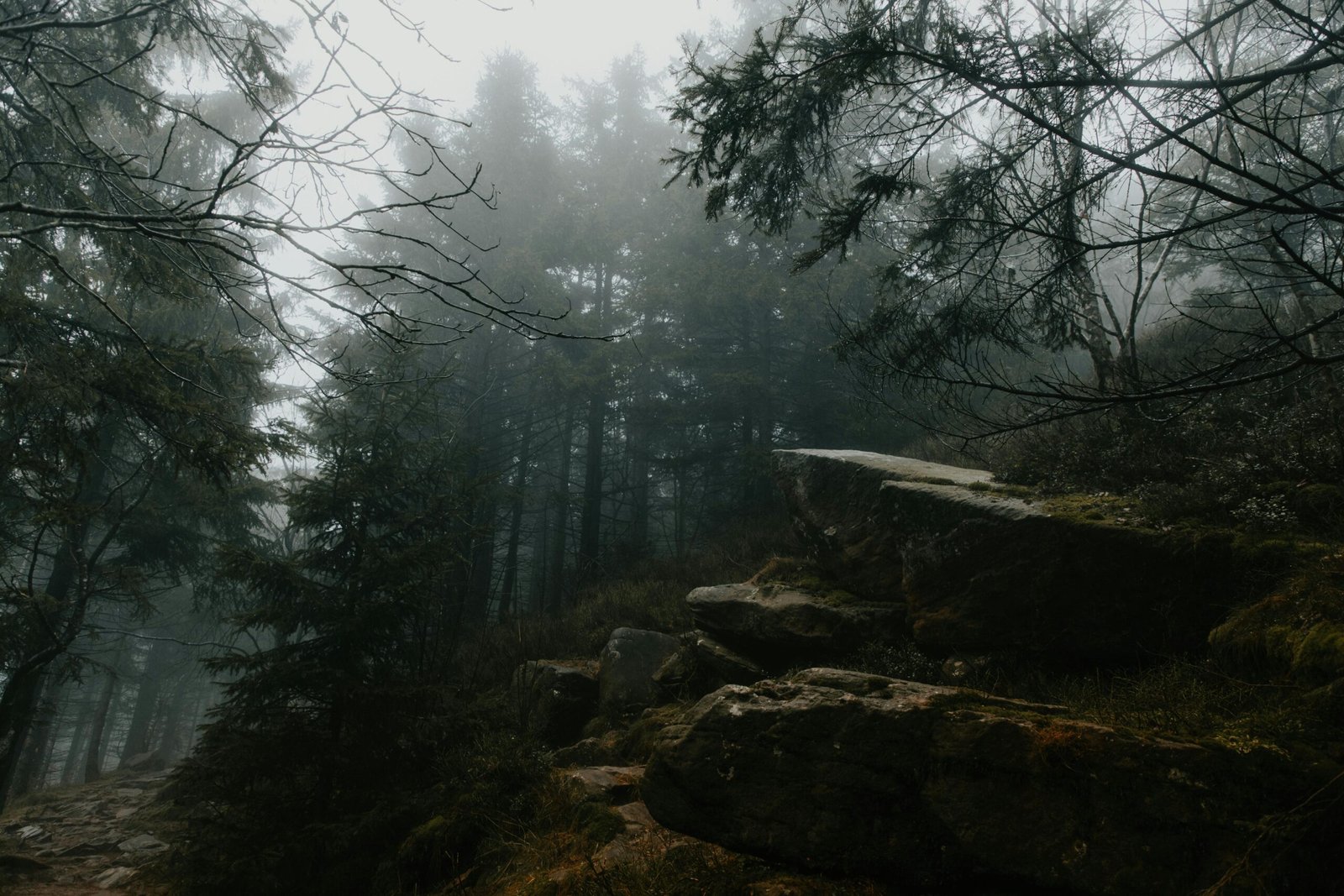 Black Forest (Schwarzwald), Germany