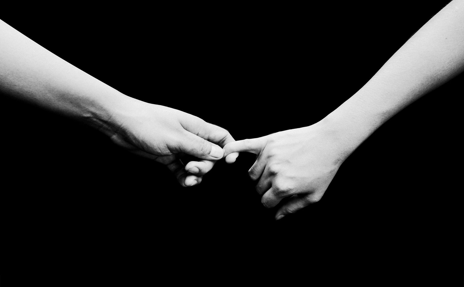 Contact